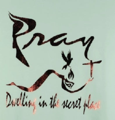 Pray Warrior, short sleeve T-Shirt, Made in USA 100% Cotton