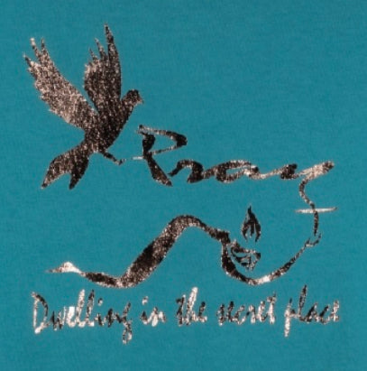 Pray dove, short sleeve T-Shirt, Made in USA 100% Cotton