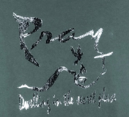 Pray Warrior, short sleeve T-Shirt, Made in USA 100% Cotton